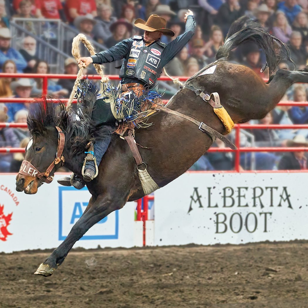 PRCA Pro Rodeo 2